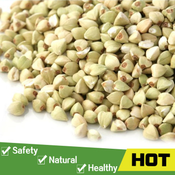 Green roasted buckwheat groats