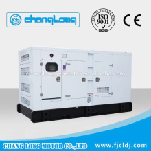 Brushless motor Lovol Powered generator set power 20KW 24KW