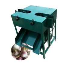 Small Garlic Root and Stem Cutting Machine - Garlic Top and Tail Removing Machine Price