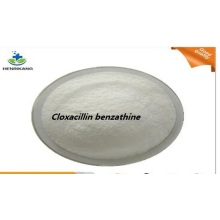 Factory price cloxacillin Benzathine Powder bp for cattle