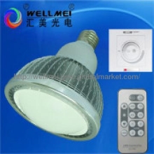 12W led light--palmer light remote