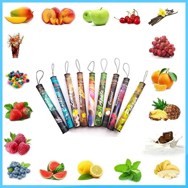 New Shisha Pens Disposable Electronic Cigarette Time Disposbale E CIGS 500 Puffs Various Fruit Flavors Hookah Pen 280mAh Battery