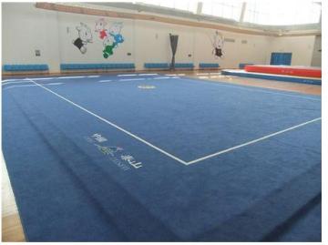 2016 years new design martial arts field,wushu equipment,XPE material wushu field