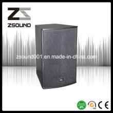 12 Zoll Club Audio Lautsprecher