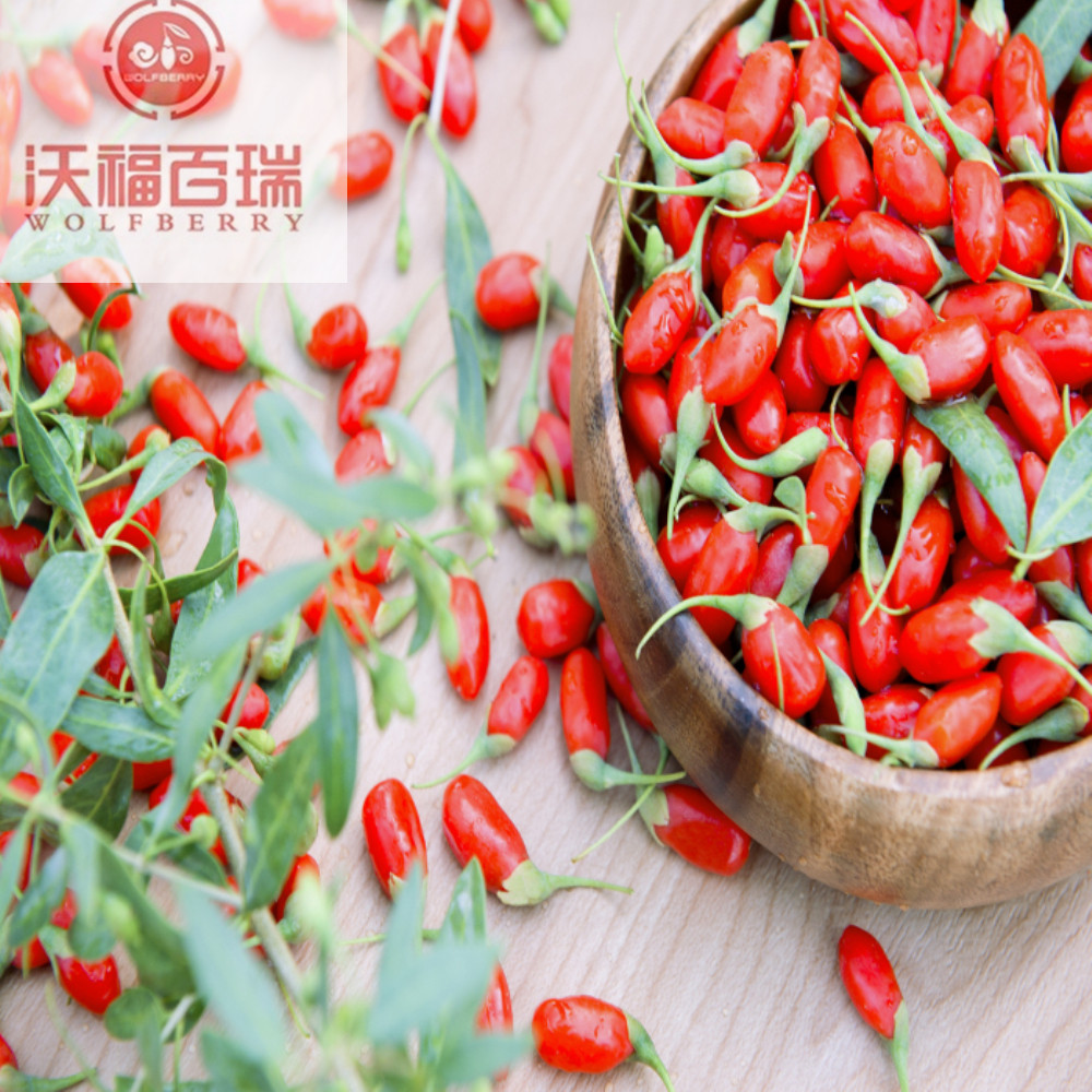 Ramuan Cina makanan obat goji berry organik