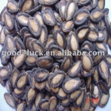 watermelon seed