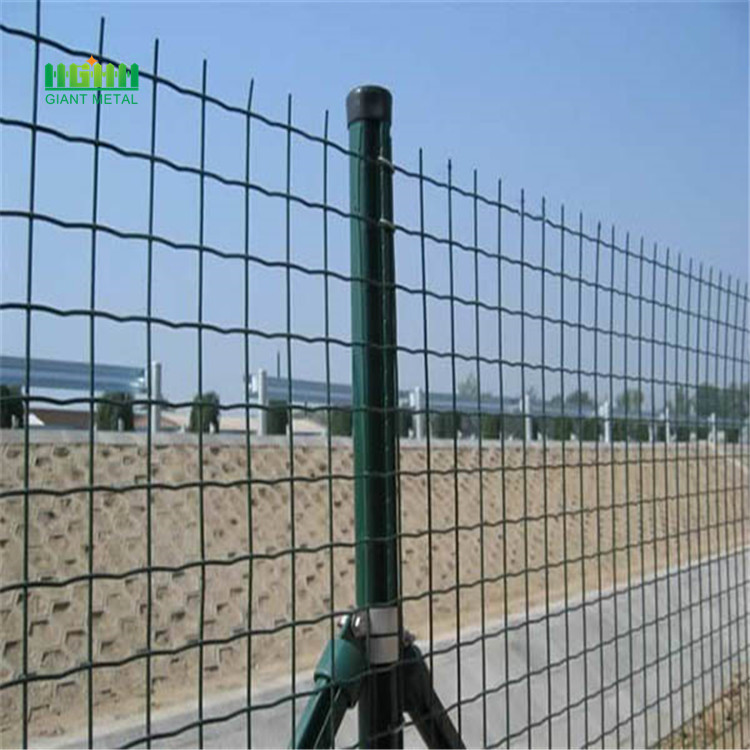 Factory green garden euro fences