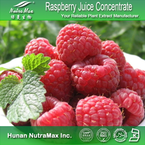 100% Natural Raspberry Juice Powder, Raspberry Powder, Raspberry Fruit Powder