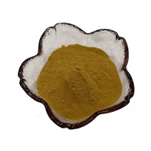 factory supply 100% pure natural radix codonopsis extract powder in herb extract