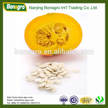 pumpkin/snow white pumpkin seed on sale