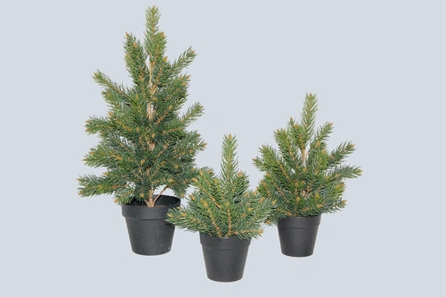 PE Sitca-Spruce Pine Tree Artificial Plant with Pot for Christmas Decoration (47828)