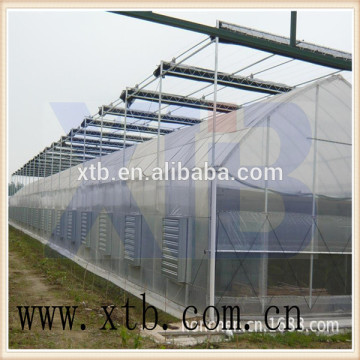 Film arch greenhouse for sale from big greenhouse manufacturer in China