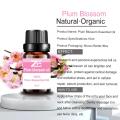 Plum Blossom Oil Aromaterapi Minyak Esensial untuk Diffuser