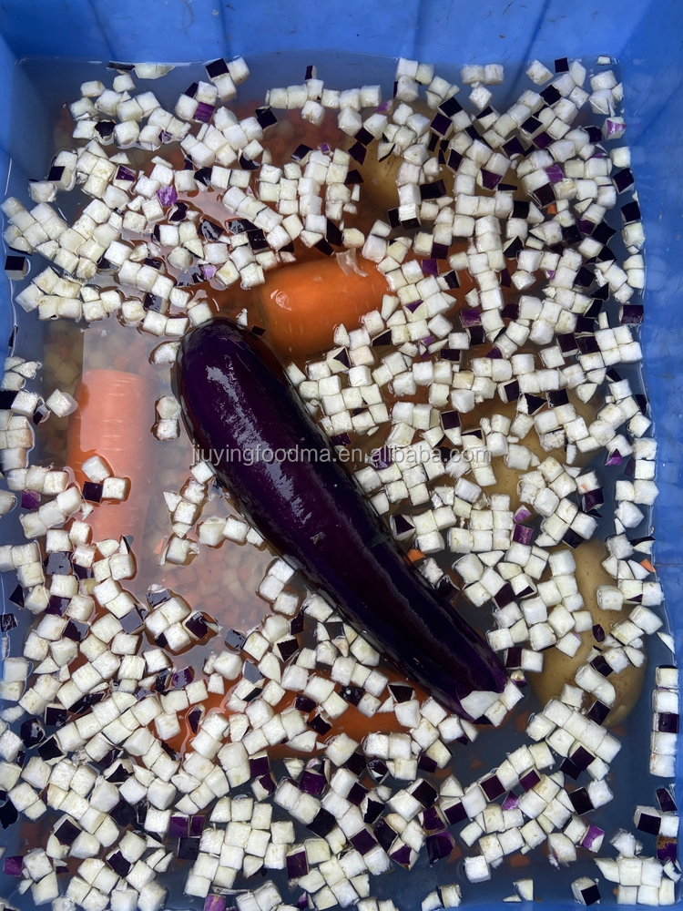 Multi-functional vegetable and mushroom dicer machine with large product input