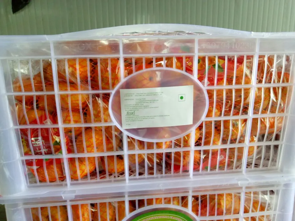 Carton Packing Yellow Sweet Baby Mandarin