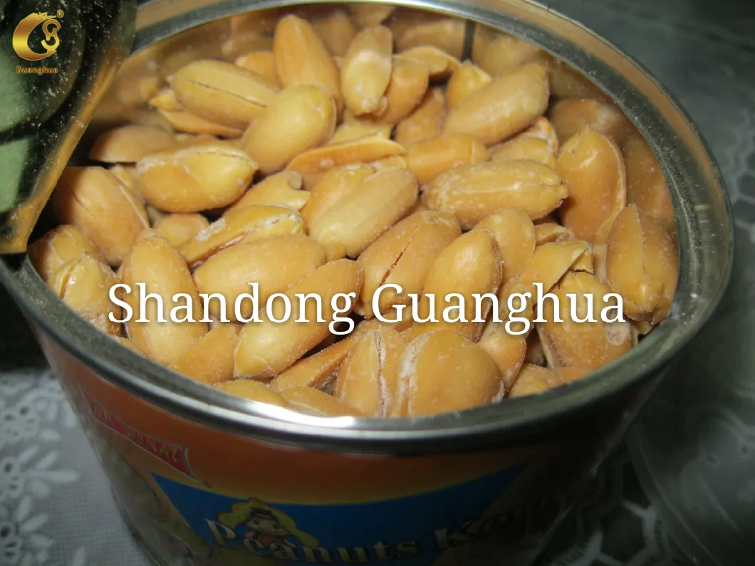 Best Quality and Hot Sale Fried Peanuts New Crop