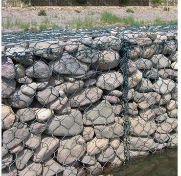 Galvanized and PVC Coated Gabion Mesh