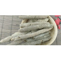 Pure Spongilla Lacustris Extrakt Sponge spicule Pulver 70%