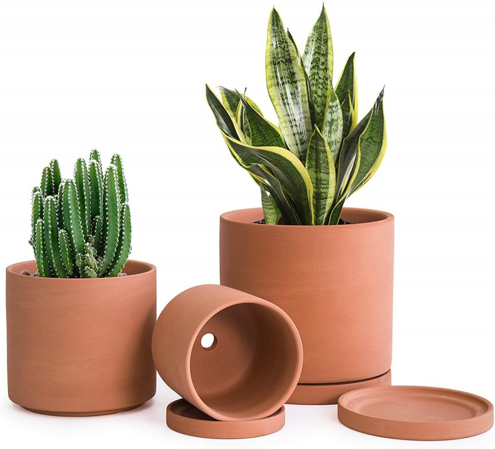 Terracotta -potten voor planten