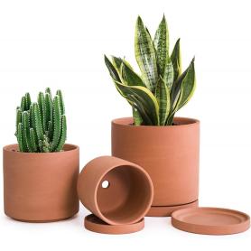 Terracotta -potten voor planten