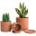 Pots en terre cuite pour les plantes