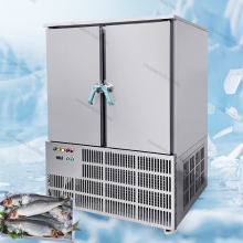 Customized Double Door Commercial Fish Blast Freezer Equipment -45