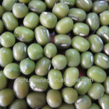 Chinese green mung bean