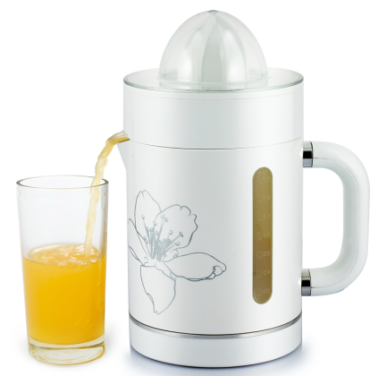 Profesyonel Juicer elektrik