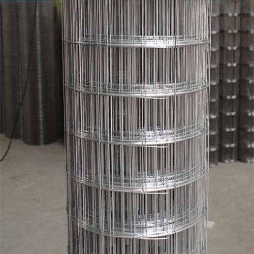 HOT SALE PVC Galvanized Wire Mesh Rolls 3x3 Galvanized Welded Wire Mesh