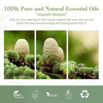OEM ODM Venta a granel 100% Natural Pure Cedar Wood Oil Essential Oil