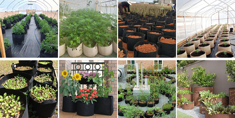 Factory stock 1-400 gallon All Size Non woven Plant Fabric Pots Grow Bags with Handles planting bags