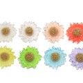 New Popular 32MM Large Resin Clear  Daisy Flower Resin Flatback Cabochons DIY Handmade Flowers Sun Flower Earrings Ring Jewelry