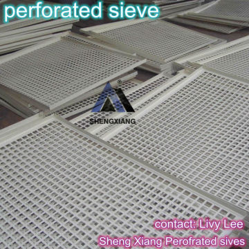 perforated sieve