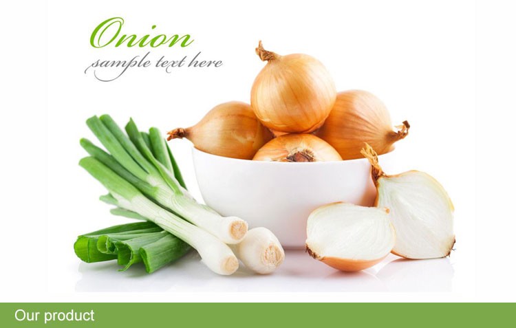 Chinese fresh organic yellow onion