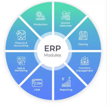 Custom ERP software solution Software development