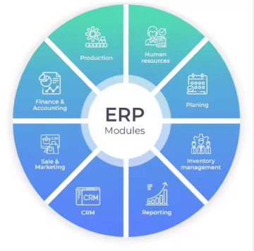 Custom ERP software solution Software development
