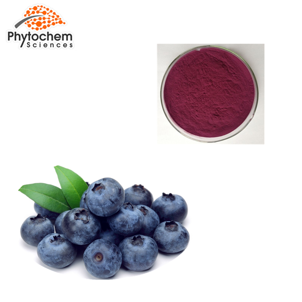 Factory supply Organic blueberry juice extract powder