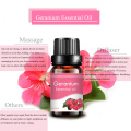 Wholesale 100% natural organic geranium pure essential oil