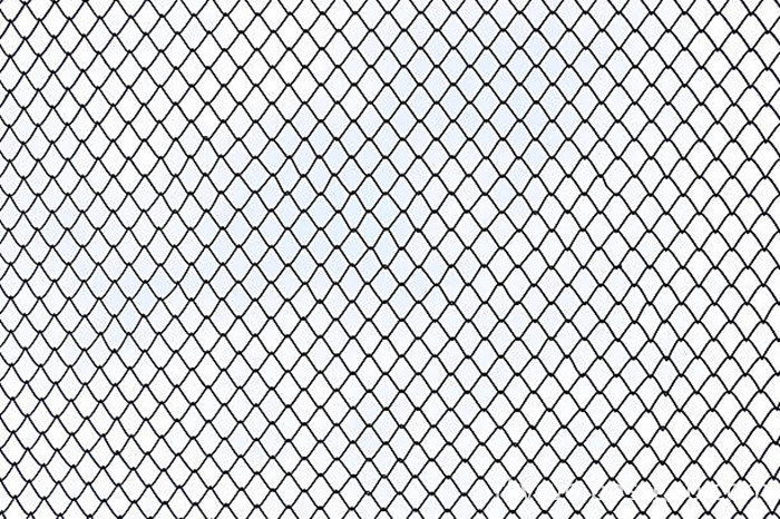 wire mesh-2