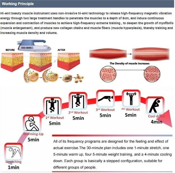 Theory of Body slimming EMS machine