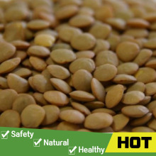 China green lentils wholesale for sale