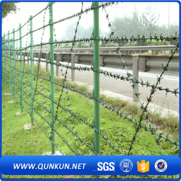 protect wire bulk galvanized barbed Wire