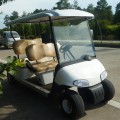 Wholsale tùy chỉnh 4 chỗ phổ biến golf cart