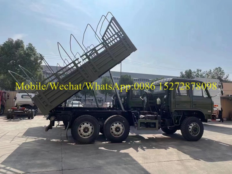 6x6 Cargo militar del ejército fuera del camino (1) 6x6 Off Road Army Military Cargo (1)