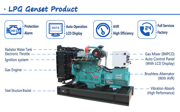 China 20kw 25kva home use small power lpg generator with Cummins engine