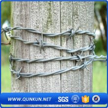 Galvanize barbed wire fence
