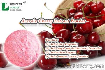 acerola cherry berry Extract powder vitamin c