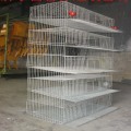 Jaula de codorniz tipo A/H 300-360 capacidad alambre galvanizado