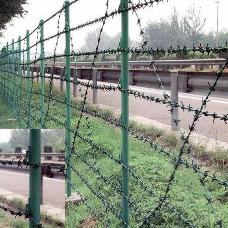 Galvanized PVC Coated Barbed Wire Fence Yard