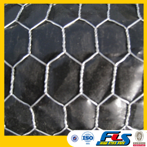 Hot Dipped Galvanzied Hexagonal Wire Netting/Mesh